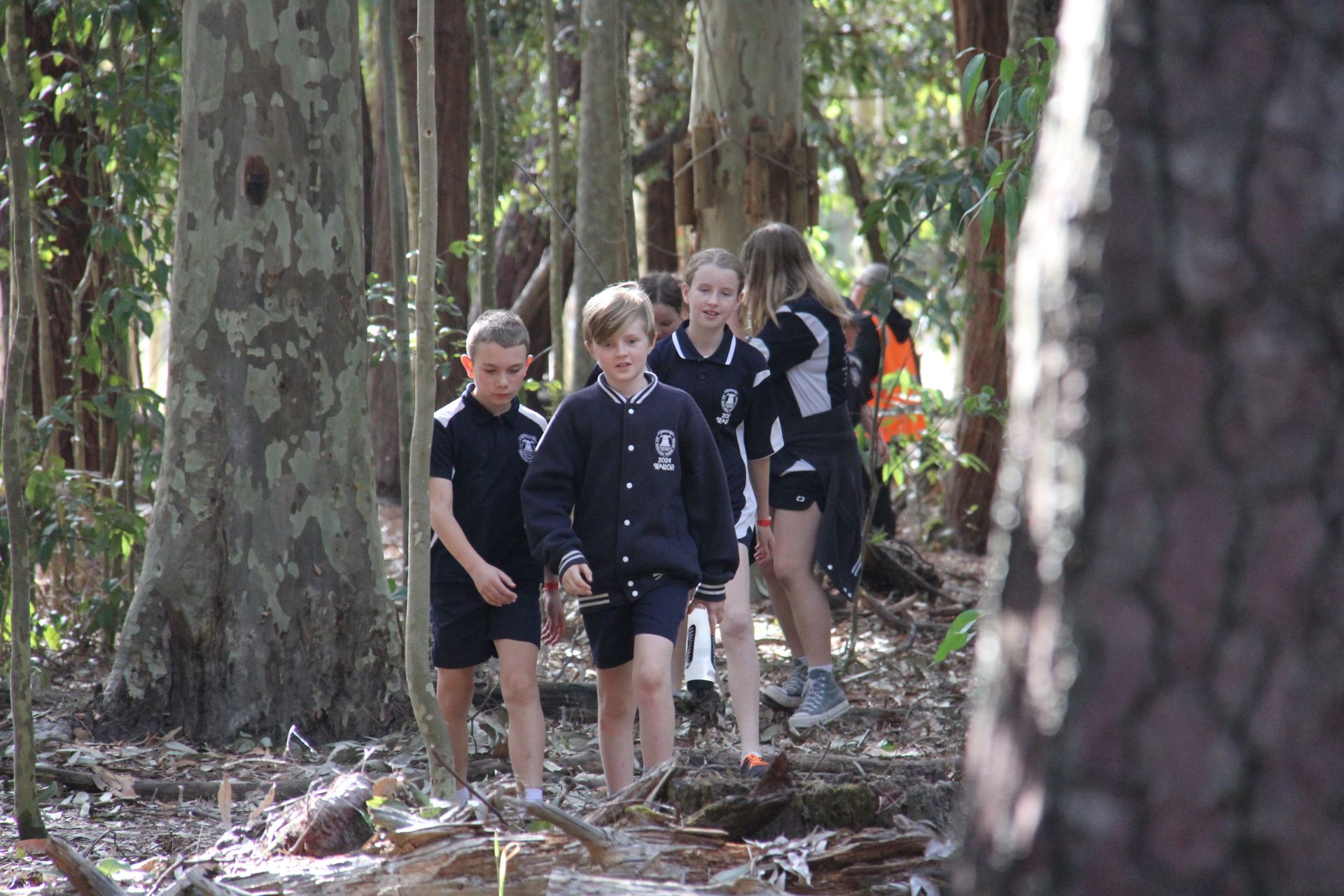 A photograph from around the school