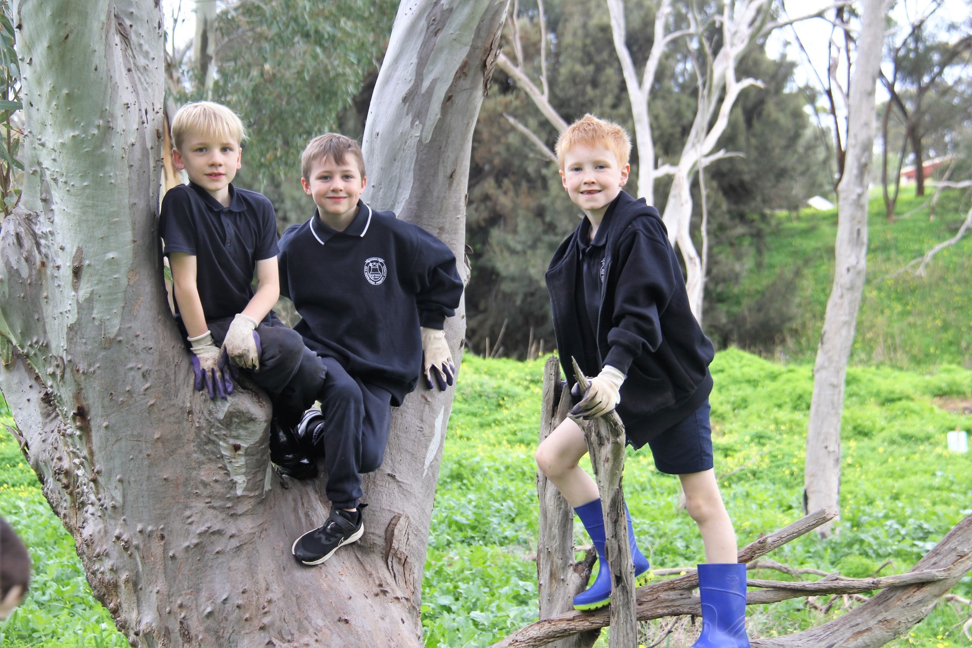 A photograph from around the school